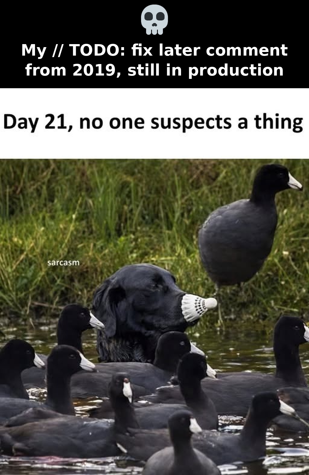 My // TODO: fix later comment from 2019, still in production