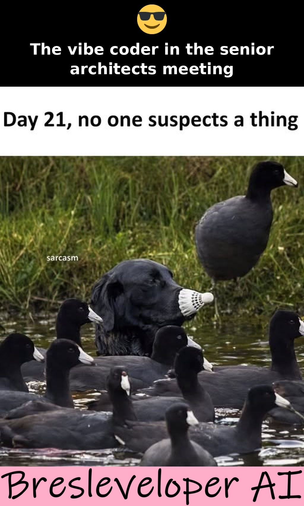 The vibe coder in the senior architects meeting